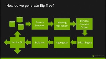 Big Tree: Using Machine Learning to Create a Knowledge Graph of Mankind