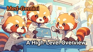 Download Lagu Med-Gemini: A High-Level Overview MP3