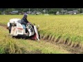 Rice harvest in Kobe, Japan  चावल की फसल ,   நெல் அறுவடை ,  ચોખા લણણી , వరి పంట , ধান কাটার মেশিন