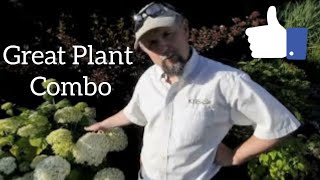 A winning perennial plant combination.