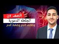 الجلطه الدمويه وظائف الدم ضغط الدم لطلاب الصف الثاني الثانوي 2025 النقل في الإنسان 