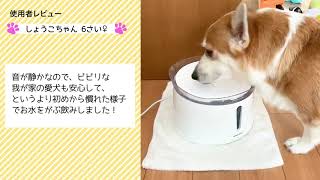 アクアメビウス 犬 猫 水飲み器 自動給水器 2l 超静音 日本メーカー安心1年保証サポート 活性炭フィルター付き 犬 みずのみ器 猫