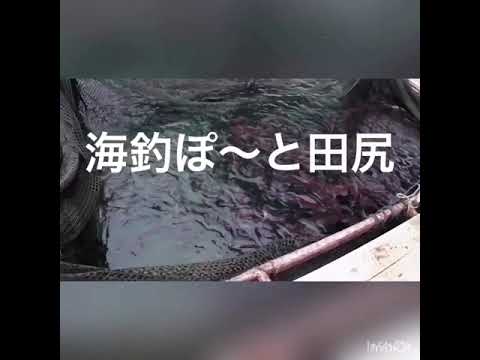 海上釣り堀 田尻 オンリーワン貸切に行ってきた 3月4日 Youtube