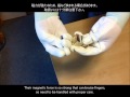 ネオジム磁石の取り外し方2 （How To Separate Magnets Part2）