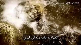 Sad Kurdish Song With Urdu 