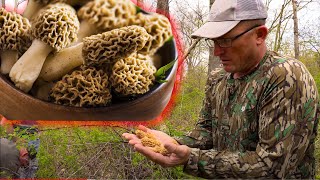 How to Find MORE Wild Morel Mushrooms! {Catch Clean Cook} Most Delicious Mushroom!!!
