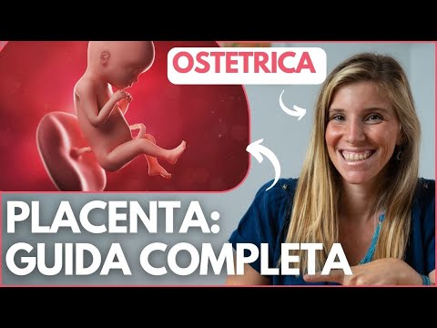 Video: Dov'è la placenta cotiledona?