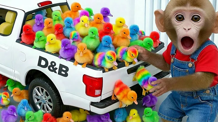 Monkey Toto Drives a Tractor to Harvest Fruit and Rescue the Little Yellow Ducks!