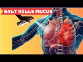 TREAT RESPIRATORY MUCUS with SALT:  Chest Infection, Chronic Bronchitis &amp; LUNG