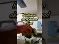 LORD, SALAMAT AT GINISING MO AKO SA ARAW NA ITO