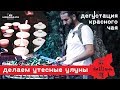 Уишань. Делаем утесные улуны. Дегустация красного чая