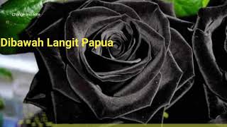 lagu || Dibawah Langit Papua || official music