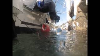 Welcome to the Fleet screenshot 5