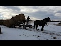 moving round bales with horses