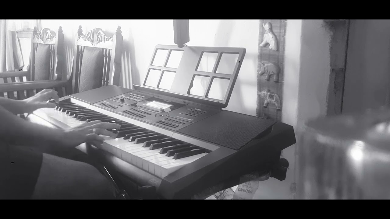 Animals Maroon 5(Piano acoustic cover) YouTube