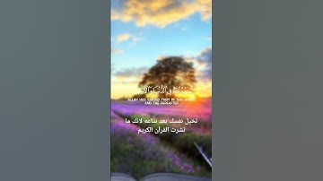 القارئ ياسر الدوسري #دويتو #اكسبلور #duet #الرحمن #تيك_توك #المراه