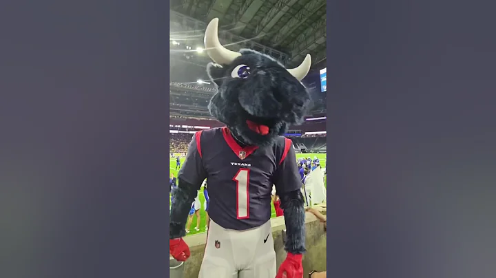 Why You NEVER Mess With The Mascot... (@bigerb1983)