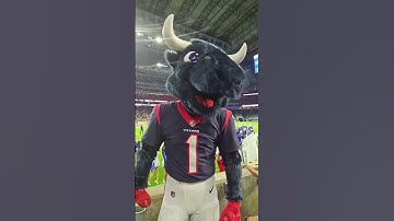 Why You NEVER Mess With The Mascot... (@bigerb1983)