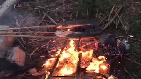 CÁ LÓC NƯỚNG TRUI| CÁ LÓC NƯỚNG THAN HỒNG | DanSAIGON