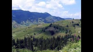 Marina Florea - Pamant (Horia Moculescu, George Tarnea)