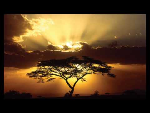 Keiko Matsui - Light Above The Trees