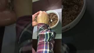 Home made Ferrero Rocher شوكولاتة فيريرو روشيه منزلية تستحق التجريب️