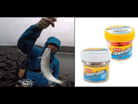 Catching stocked trout with Powerbait 
