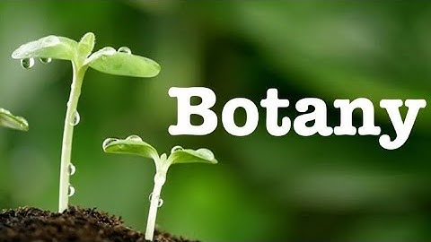 botany project  ..||BSC botany project work ... ||team work..
