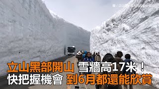 立山黑部開山雪牆高17米！快把握機會到6月都還能欣賞