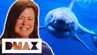 Download Lagu Husband Saves His Wife's Life After A Brutal Shark Attack | I Was Prey MP3