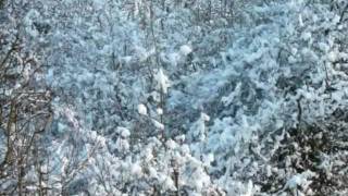 TallarnWhite.wmv