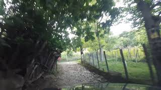 Okureshi Lechkhumi Cageri Giorgelidzeebis Wine Cellar