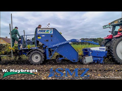 Planten rooien & oprapen | Harvesting plants | Pflanzen roden | Steyr | SMZ PL Eco 3 | SMZ Pickup