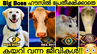 SHOCKING ANIMALS Suddenly Come to the big boss house! | Animals in Big Boss Reality Show | Malayalam