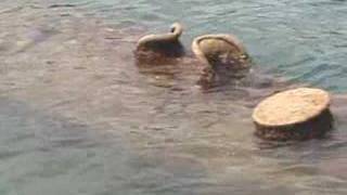 USS Arizona - Still leaking oil! - Pearl Harbor Hawaii