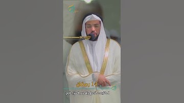 القارئ الشيخ علاء ابراهيم المزجاجي