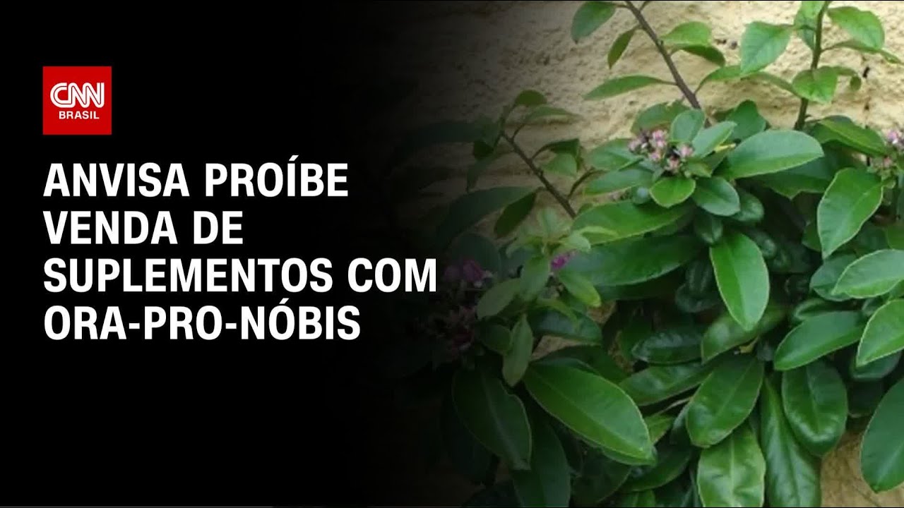 Anvisa proíbe venda de suplementos alimentares contendo ora-pro-nóbis | CNN NOVO DIA