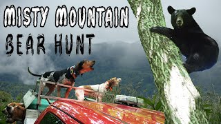 West Virginia bear chasing