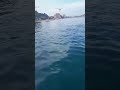 Zagađena dalmatinska plaža: Izbijaju fekalije, djeca dobila kožnu bolest (VIDEO)