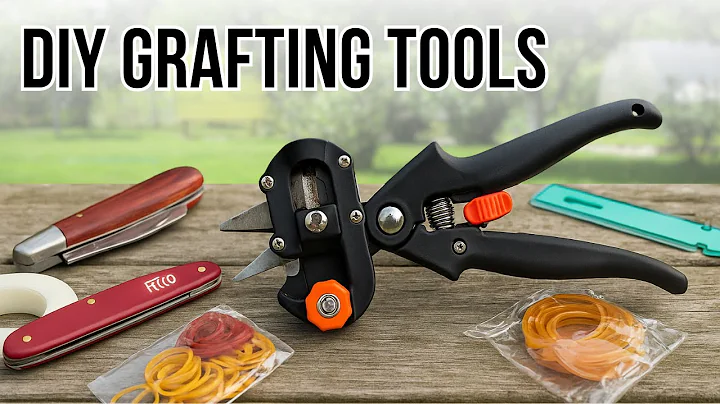 Must-Have Grafting Tools for Beginners | How to Graft Fruit Trees Successfully 🌱✂️