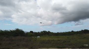 Team Oxy5Hf 550 New Servo GDW  DS498MG 22kgf and 0.08sec