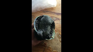 New Zealand Abalone Twists in Its Shell