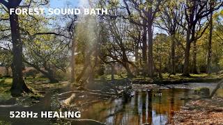 528Hz Forest Healing Music 🍃 Nature Sound Bath for Stress Relief & Calm Energy