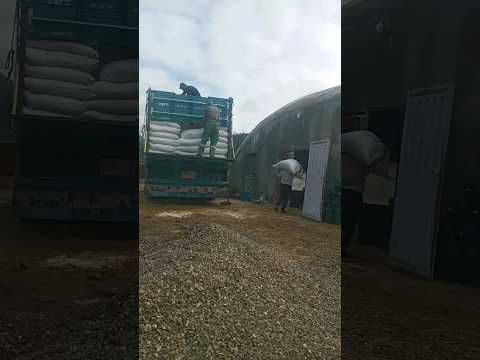 تحية رجال لي جيبوها بحلال والله عاون كل واحد ولي نيتو صافية