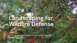 Landscaping for Wildfire Defense