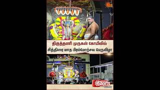 Tiruttani Murugan Temple | Chithirai Thiruvizha 2026 | Devotees | Sun News