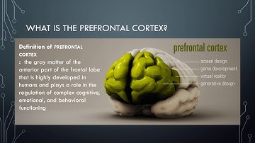 What is the Prefrontal Cortex?