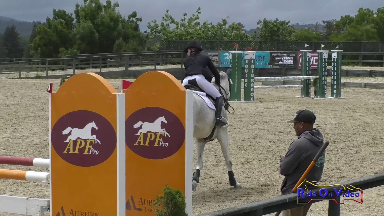 horseshoe bend 191S Katherine Hill on Stellor Rockafella Training AM Show Jumping Woodside May 2019