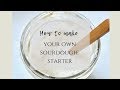 How to make your own sourdough starter