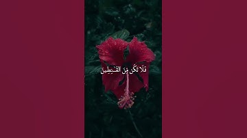 سورة الحجر | القارئ - هزاع البلوشي 🎧♥️